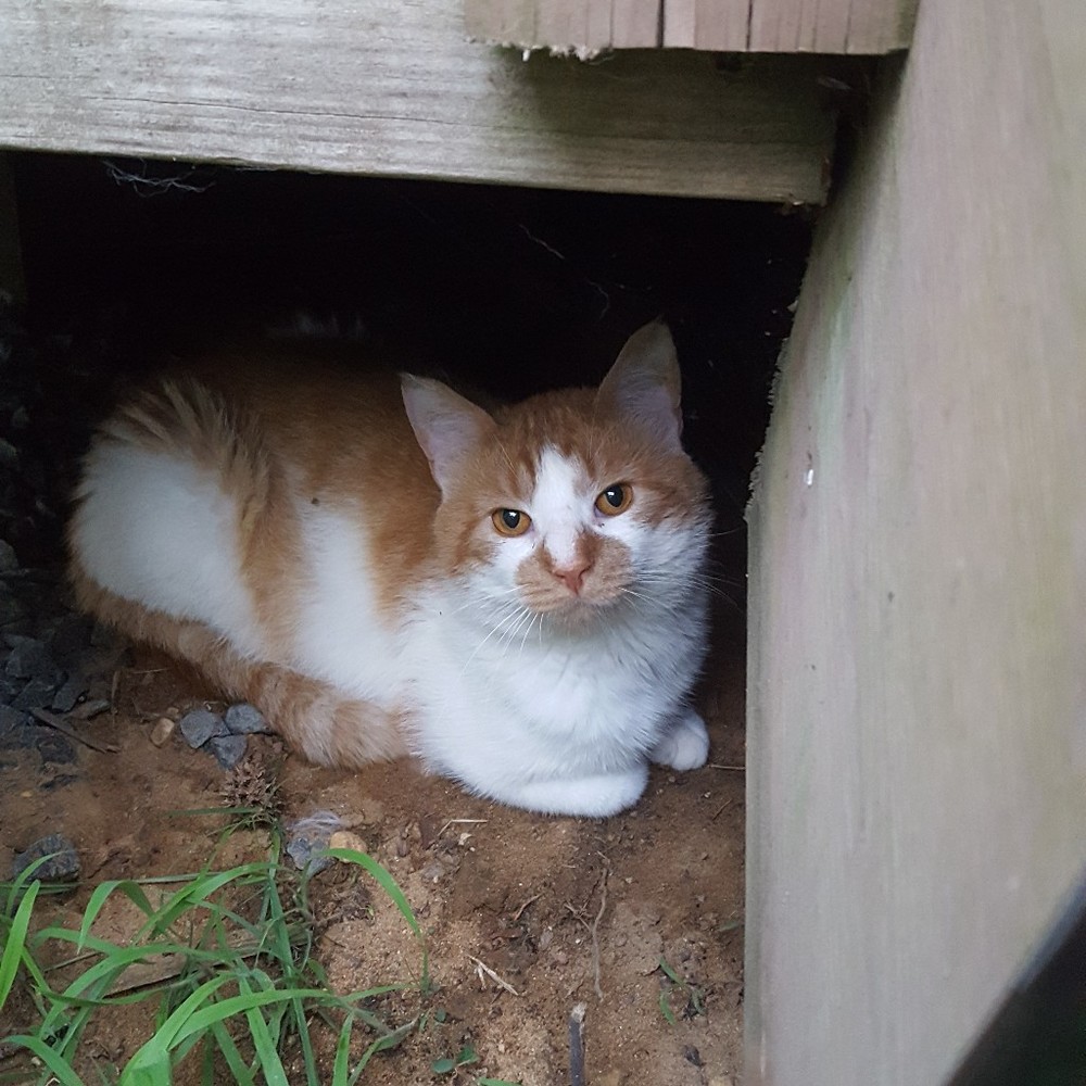 Meet your Posher, Kaelyn